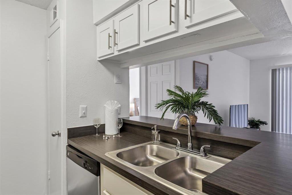 Special Apartment 1Br With Gym And Parking Bradenton Eksteriør bilde